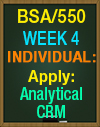 BSA/550 Week 4 Analytical CRM